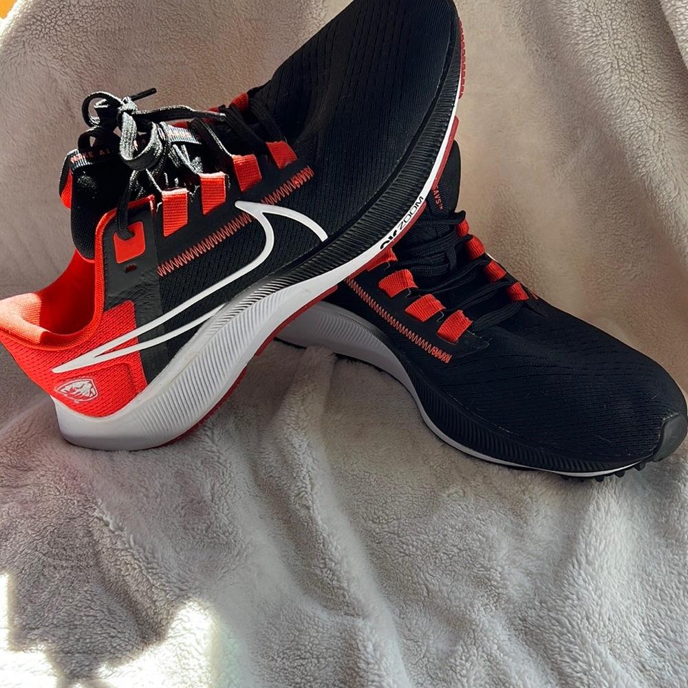 Nike zoom Pegasus 38 Oregon State Beavers